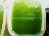 Chlorella4.JPG