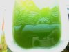 Chlorella0,5Lgerührt1.JPG