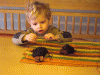 Matthias beim (Fisch)-Eier suchen 006.gif