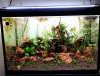 20151011_180023.jpg