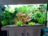 20160301_163954.jpg