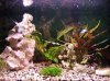 2008_0720Aquarium0001.JPG