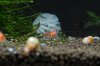 DSC_0706.jpg