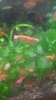 IMG-20160512-WA0000.jpg