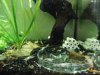 upload_2016-5-16_10-44-2.jpeg