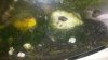 20160716_161719.jpg