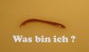 Wurm.jpg
