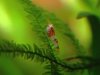 100_1022.jpg