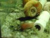 upload_2017-1-8_13-36-28.jpeg