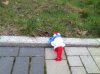 image.jpeg