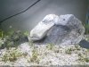 IMG_20170514_125852.jpg