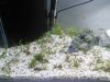 IMG_20170514_125840.jpg