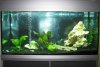 Aquarium 200L leer klein.JPG