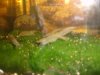 DSC04718.JPG