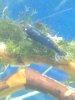 IMG_20171217_193107_896.jpg