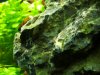 20180523_183400-min.jpg