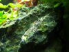 20180523_183414-min.jpg