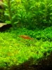 20180523_183308-min.jpg