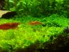 20180523_183316-min.jpg