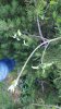 20180521_210119-747x1328.jpg