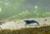 IMG_20180912_173149_421.jpg