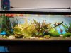 20201115_164923.jpg