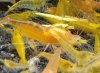 20201115_165501.jpg