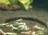 20201115_165231.jpg