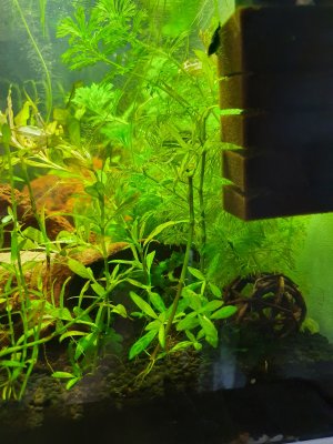 20220712_182614.jpg