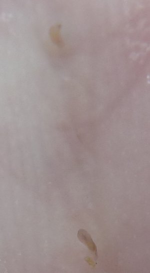 1smP1030400.jpg