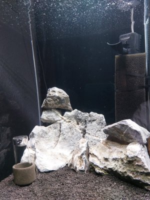20230920_110451.jpg