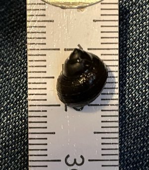 Photo-0.jpeg