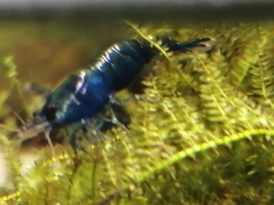 IMG_20240128_084055.jpg