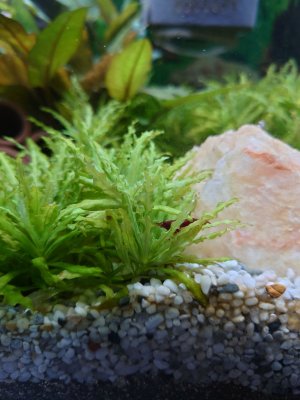 DSC_5633 neu.jpg