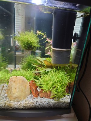 DSC_5634 neu.jpg