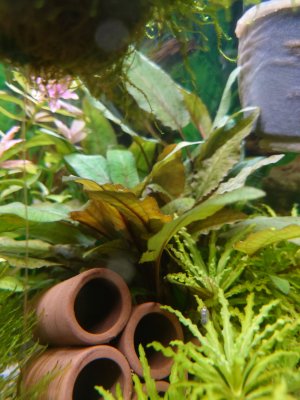 DSC_5639 neu.jpg