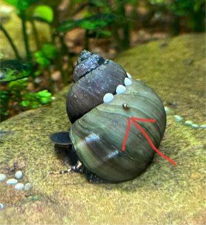 IMG_2432.jpeg