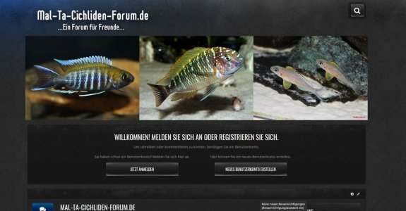 Forenlogo Mal-Ta-Cichliden-Forum.de.jpeg