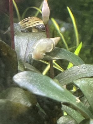 IMG_7286.jpeg
