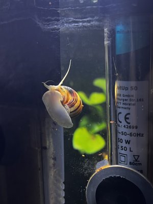 IMG_1681.jpeg
