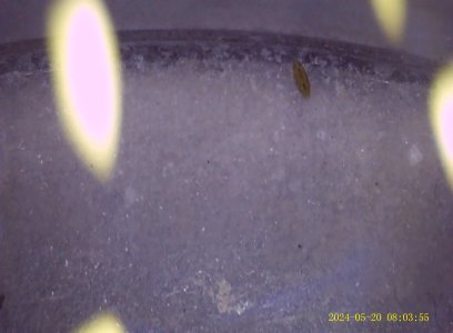 IMG0520_012.JPG