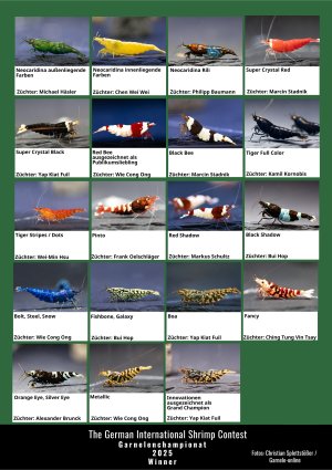Poster_Sieger_Championat2025-2.jpg