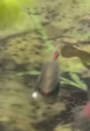 IMG-20250807-WA0012 (1).jpg