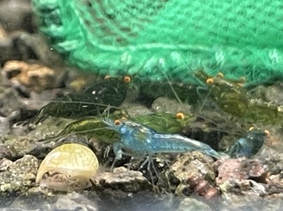 IMG_2425.jpeg