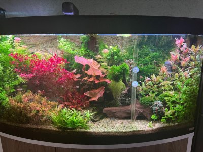 WhatsApp Bild 2025-11-21 um 18.09.31_9223e775.jpg