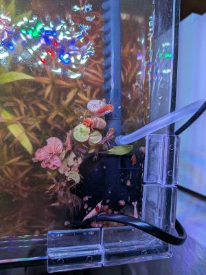 WhatsApp Image 2025-12-01 at 18.57.18 (3).jpeg