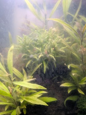 WhatsApp Image 2025-12-01 at 18.57.18 (1).jpeg