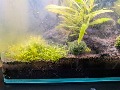 WhatsApp Image 2025-12-01 at 18.57.18.jpeg