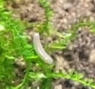 Screenshot_20260204_154941_Video Player.jpg