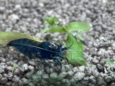 IMG_3692.jpeg